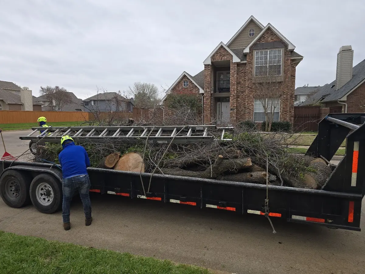 Expert Tree Pest Control with proper safety equipment in Roosevelt